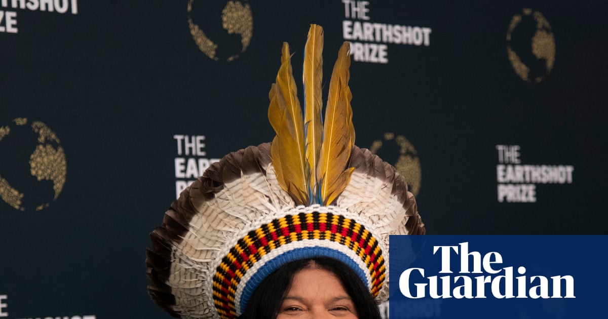 Indigenous lands must be recognised as part of climate policy, says Brazilian minister