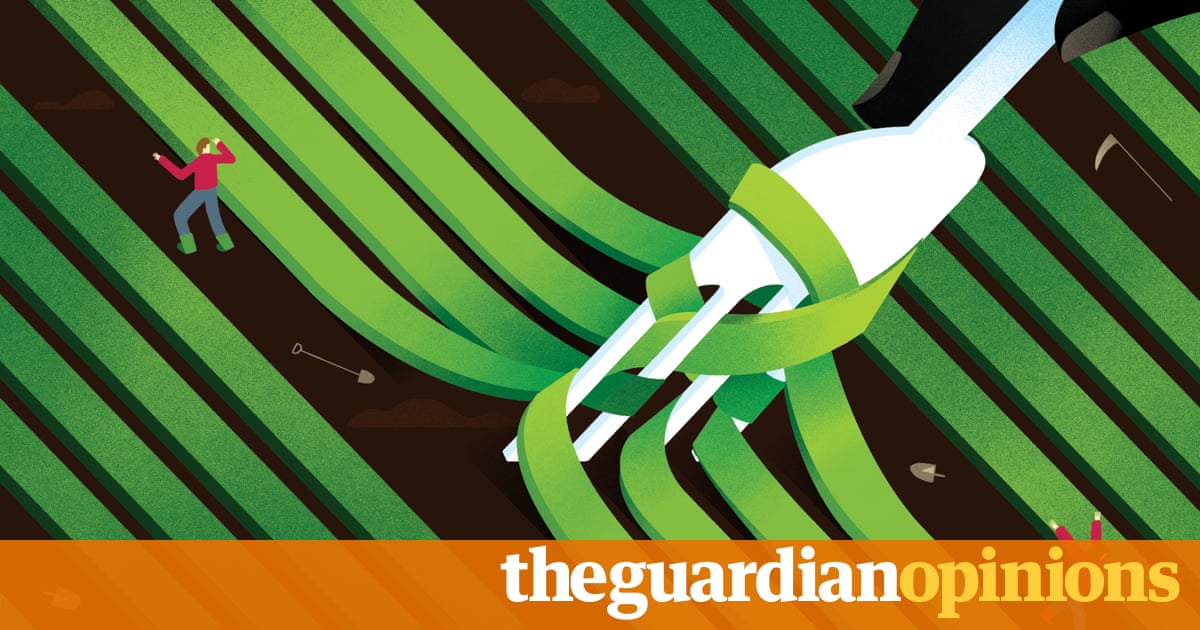 Mass starvation is humanitys fate if we keep flogging the land to death | George Monbiot 4