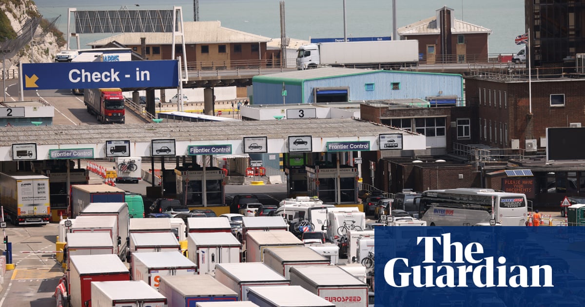 Dealing with post-Brexit paperwork ‘pure hell’, shipping head tells MPs