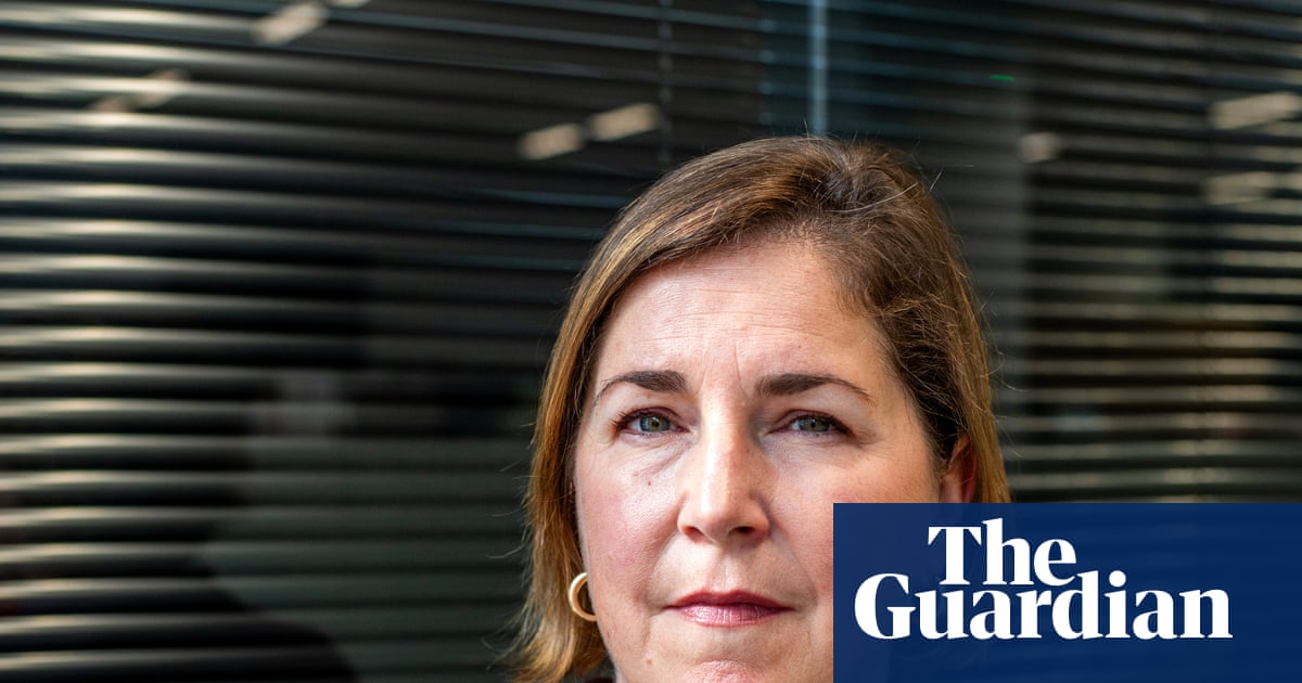 Domestic violence victims at risk under bill aimed at easing prison overcrowding, watchdog warns