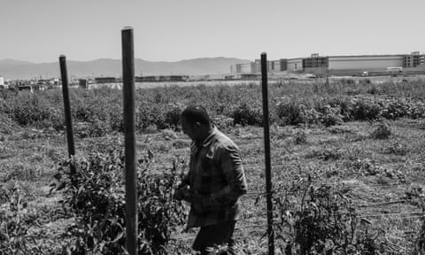 Edgar Jaime walks along his farm as the Amazon warehouse looms from the distance.