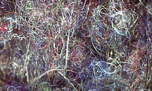 A magnified image of clothing microfibres from washing machine effluent.