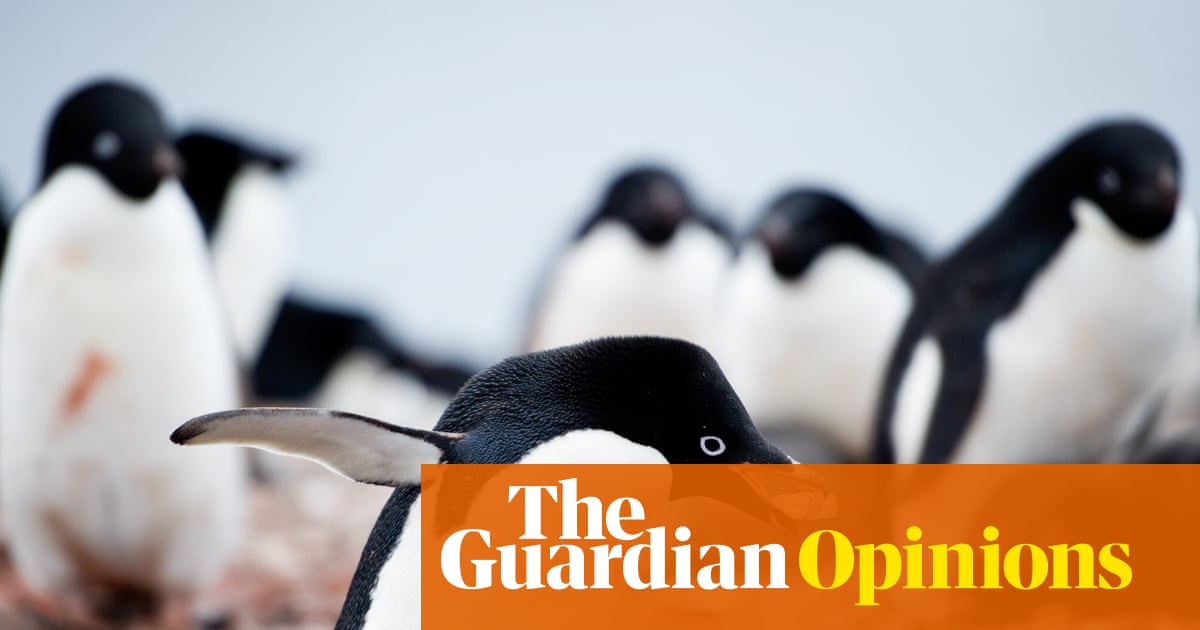 Wild animals are great gift givers – and there’s one present in particular I’d love to receive for Christmas | Helen Pilcher