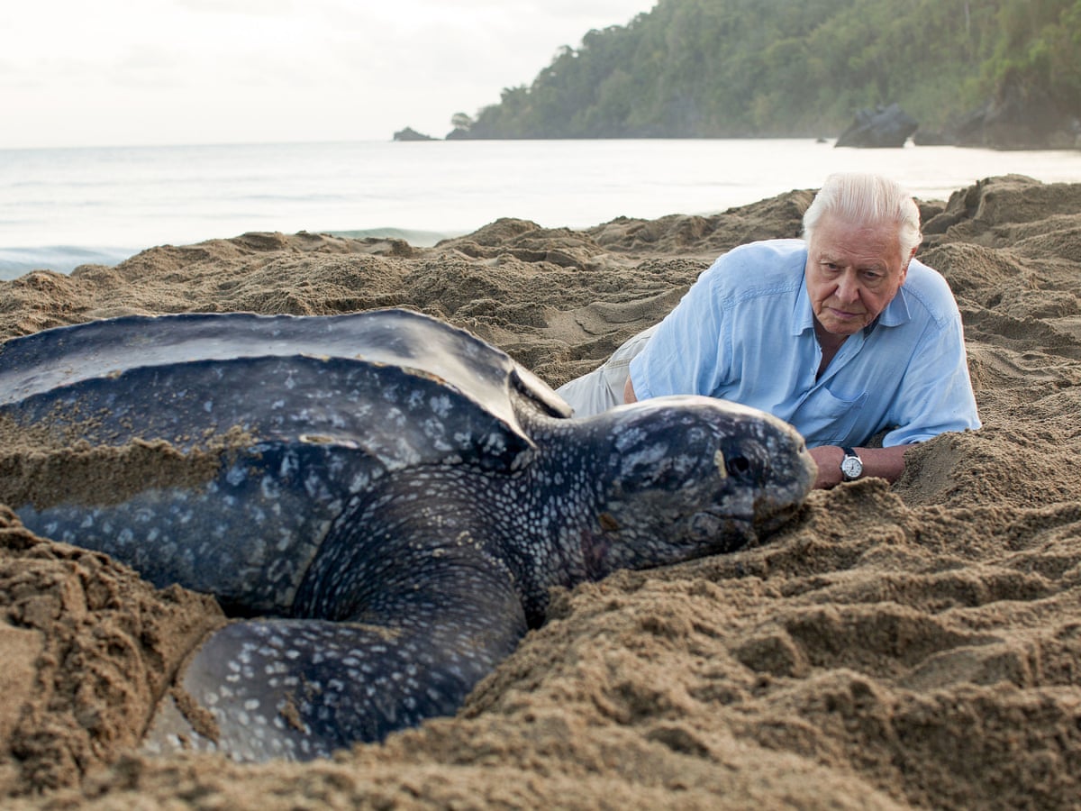 Oceans under greatest threat in history, warns Sir David Attenborough | Marine life | The Guardian