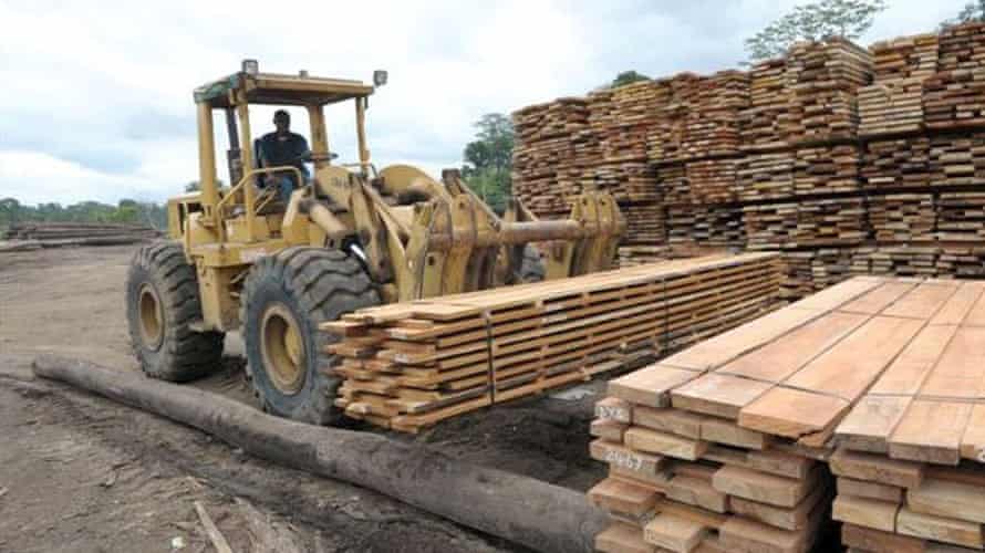 The Cloudy Bay timber operation.