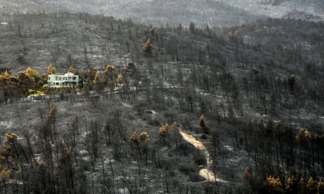 The aftermath of a wildfire in Varympompi, a wealthy suburb in Athens, Greece.