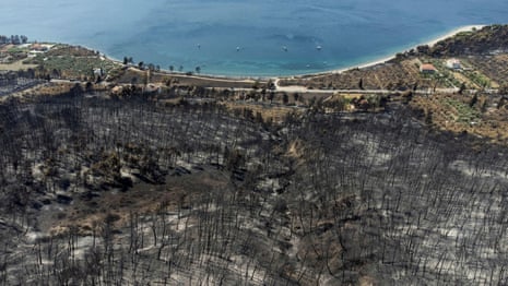 Drone footage shows aftermath of Evia wildfires in Greece – video