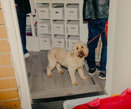 Ruff trade … the goldendoodle at Uptight Records, which has the feel of a community.