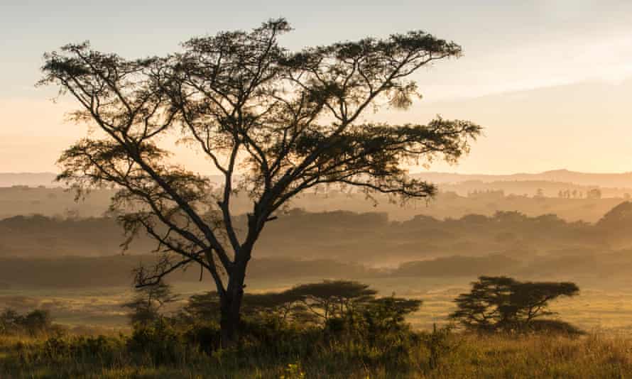Queen Elizabeth national park, Uganda … Kintu is a complex profile of a family and a country.
