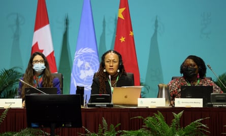 Cop15 meeting