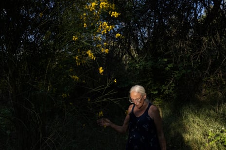 A woman walks under trees with yellow flowers
