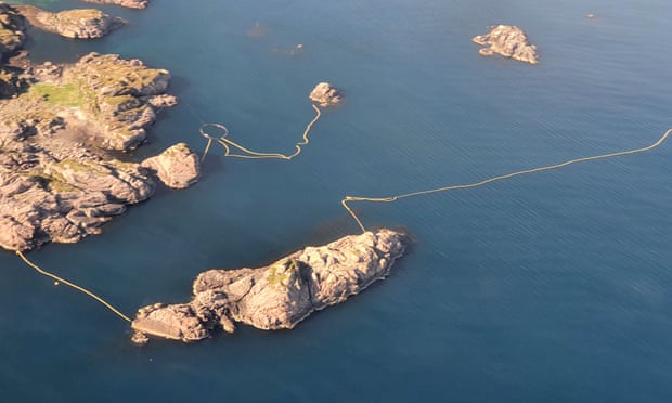 Norway to conduct ‘cruel’ minke whale tests despite opposition Aerial images show that nets up to a mile wide are in place in northern Norway to herd migrating whales into an enclosure. Photograph: WDC