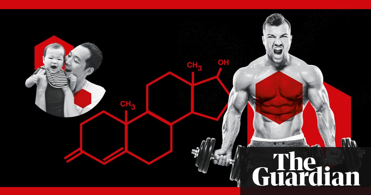 Does Testosterone Make You Mean Science The Guardian