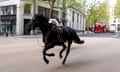 Scared horses bolting through the busy streets of London elicited a giddy mix of fear and excitement.