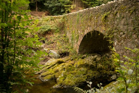 One of the many fairytale-like bridges in Tollymore Forest Park enroute to Newcastle