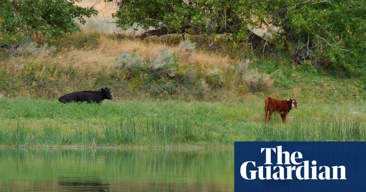 Trump officials cancel rule that made conservation a ‘use’ of public lands