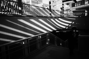 Zebra The City by Tadashi Onishi