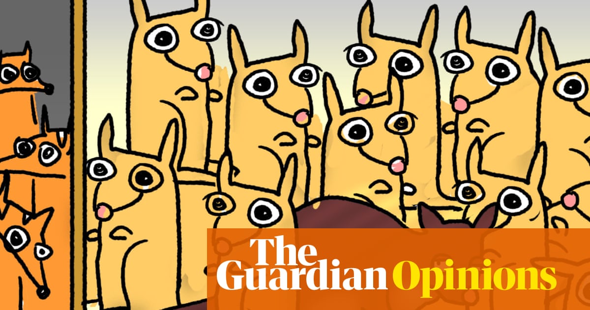 Adorable alert! A Tasmanian possum has fallen asleep among the soft toys in an airport gift shop | First Dog on the Moon