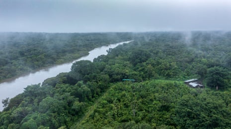 An aerial view of the Chimpanzee Conservation Centre in High Niger national park, Guinea
