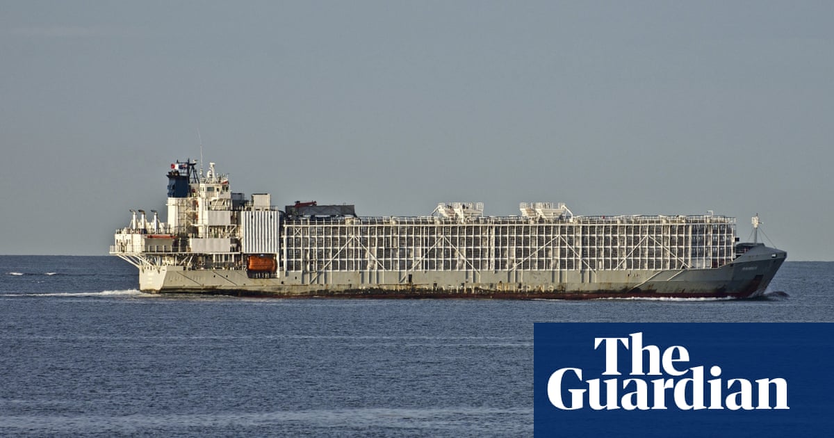 New Zealand bans live animal exports from April 2023