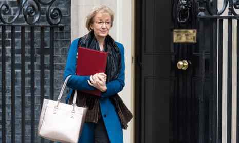 Andrea Leadsom is one of the senior Tory figures touted as a possible replacement for Claire O’Neill as president of November’s COP26 climate talks.