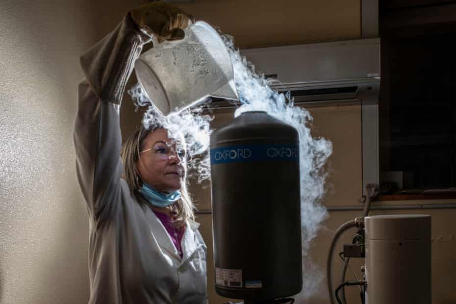 Lucia Miraglia pours liquid nitrogen into a scanning electron microscope in a laboratory at the volcanology institute in Catania.