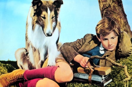 Lassie Come Home, Top 10 Dog Movies