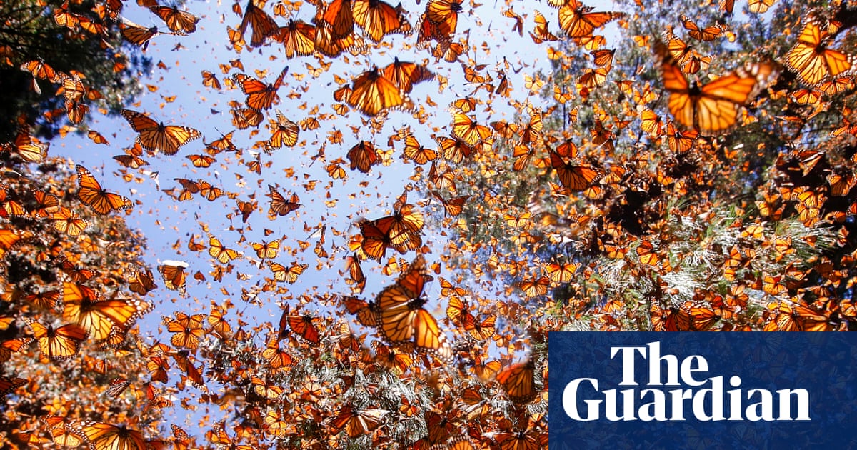 Hope, joy, absurdity and marvel: there is so much more to our world story than loss