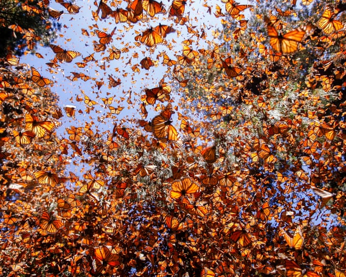 Hope, joy, absurdity and marvel: there is so much more to our world story than loss