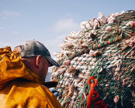 Bycatch has ‘shocking’ toll on British marine life, first-ever analysis reveals