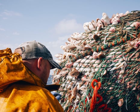 A net is raised with hundreds of dogfish, an unintended bycatch.