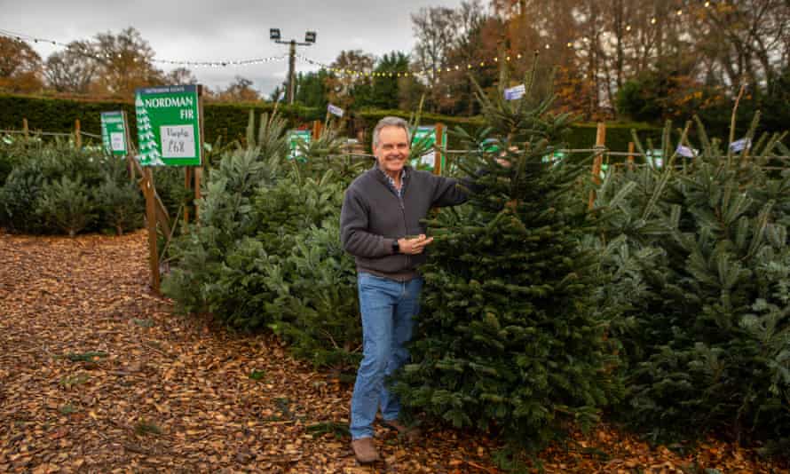 Christopher Hood, director and founder of Needlefresh, at his Christmas tree farm and store in Newbury, Berkshire.
