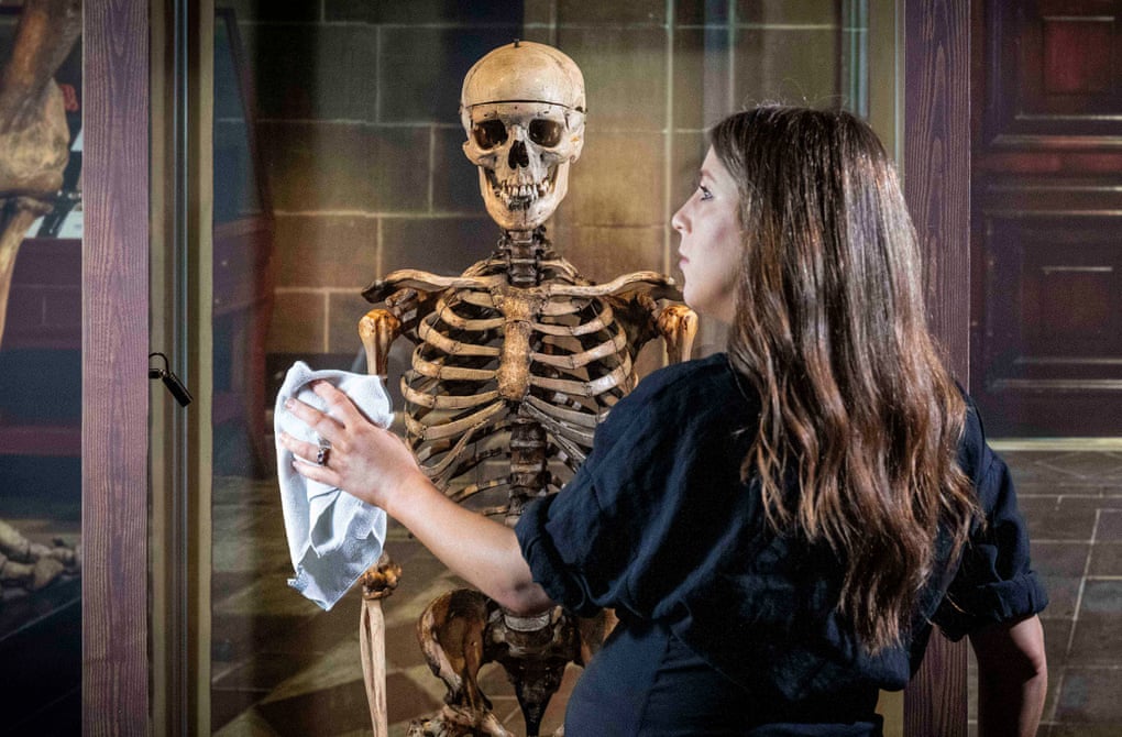 Preserved as part of his punishment … curator Ailsa Hutton with William Burke’s skeleton.