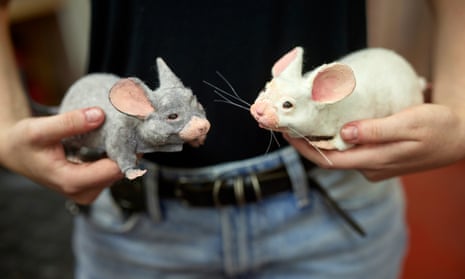 قسم الألعاب النارية