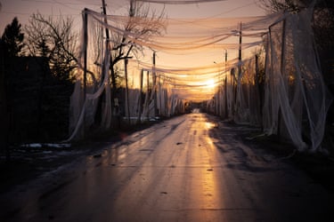 Sunrise on a road covered with netting