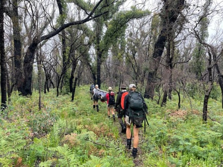 Field research team carrying equipment through a national park