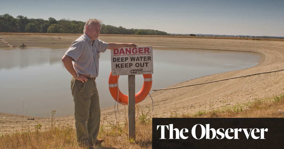 ‘We need reservoirs built’: drought leaves UK farms begging for government aid