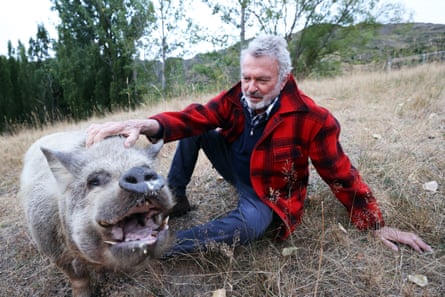 Sam Neill with his pig Angelica.