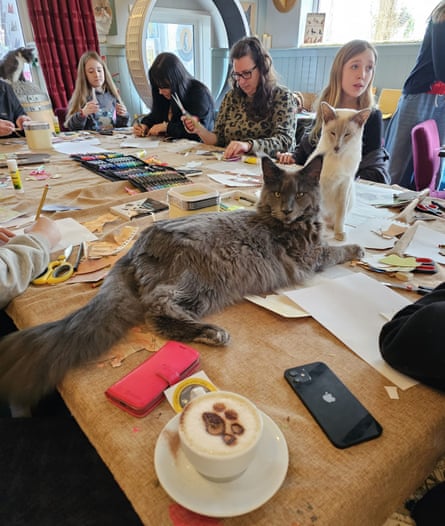 The Cat House cafe in Norwich with two cats on the table