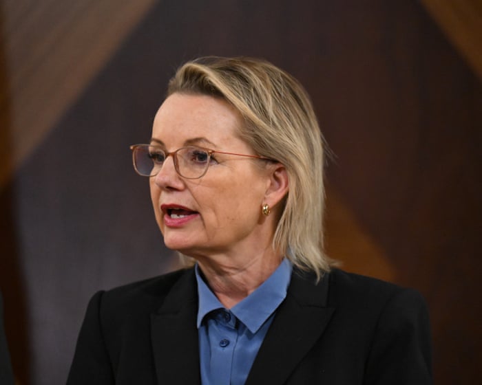 Sussan Ley sets KPIs for frontbenchers and calls for discipline amid outbreaks of internal division