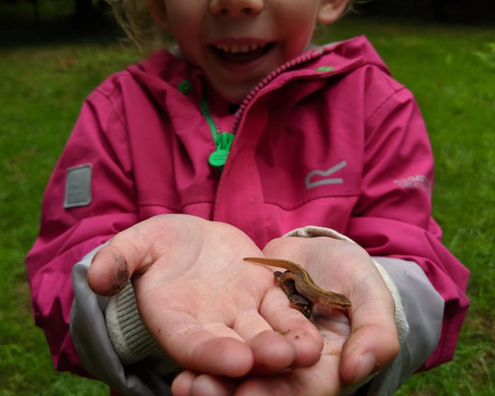 Nature boys and girls – here’s your chance to get published in the Guardian