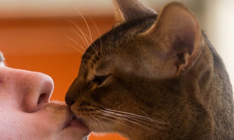How do you know your cat loves you? Let me count 25 ways | Fay Schopen | The Guardian How do you know your cat loves you? Let me count 25 ways | Fay Schopen | The Guardian
