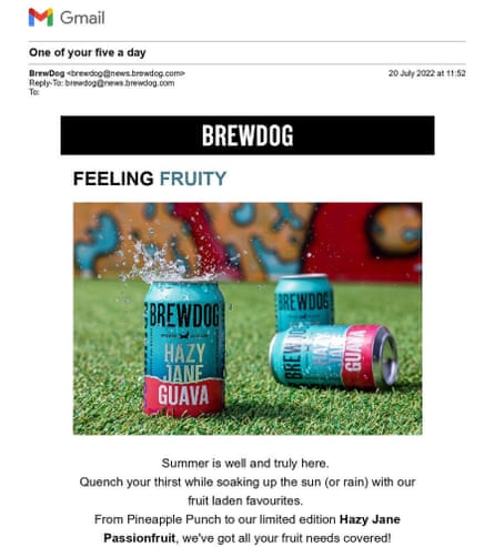 Email from Brewdog advertising fruit flavoured beers