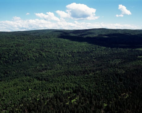 What counts as the woods? Judge axes Nova Scotia’s ban that defied ‘commonsense definitions’