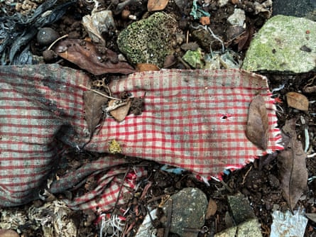 A piece of white and pink checked cloth decomposing in the ground.