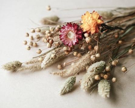 Dried flowers and grass of flax and strawflower over beige background.