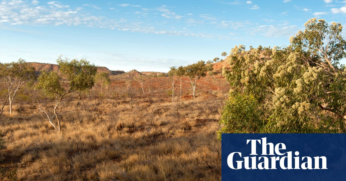 Australia’s carbon credits system a failure on global scale, study finds