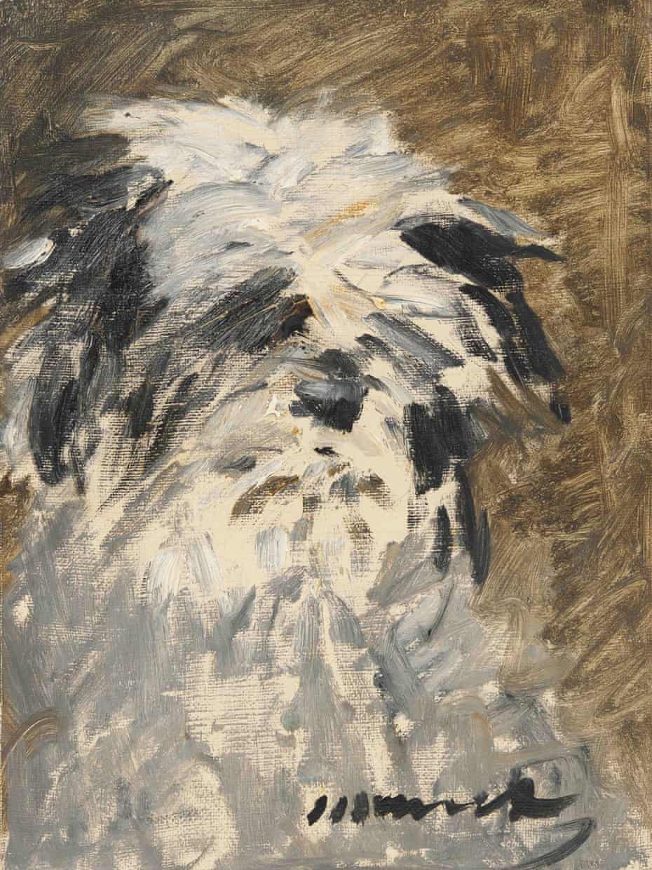 The portrait of Minnay the dog