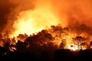Trees burn as a wildfire rages; they are silhouetted in black against the bright orange and yellow flames and smoke in the sky