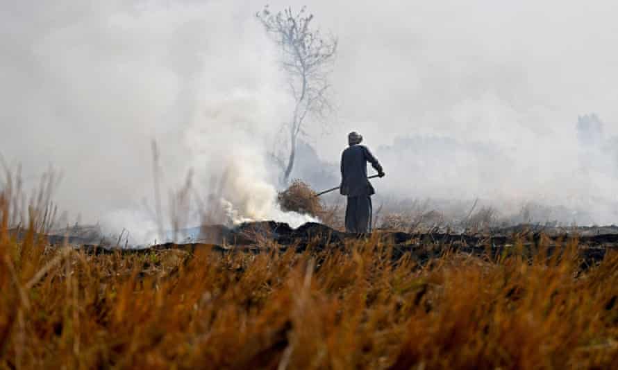 A farmer burns straw stubble in a field at Butana in India’s Haryana state.